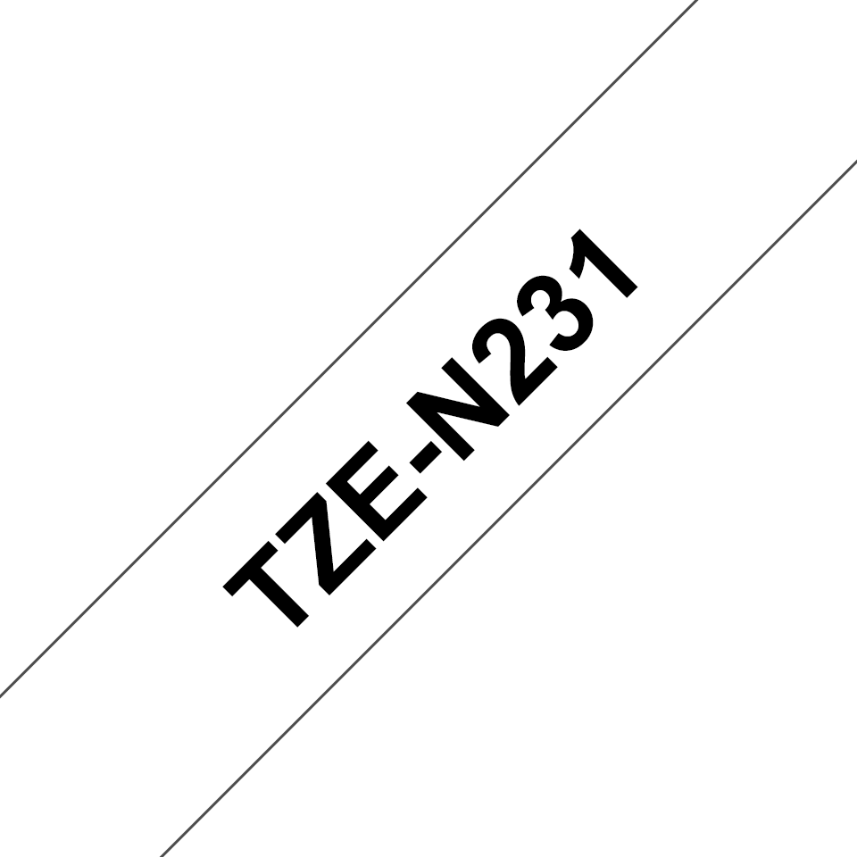 TZeN231_main