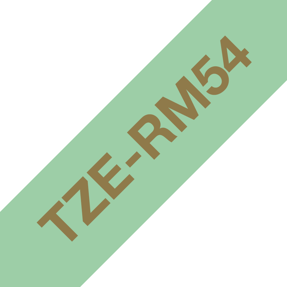 TZERM54_MAIN