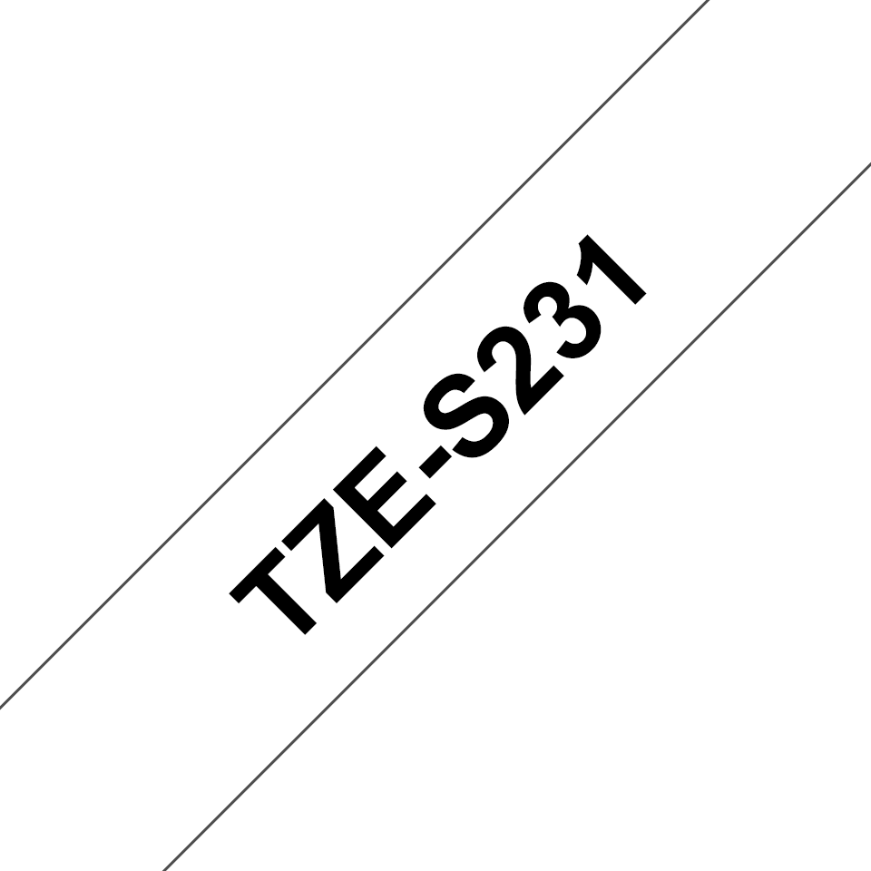 TZeS231_main