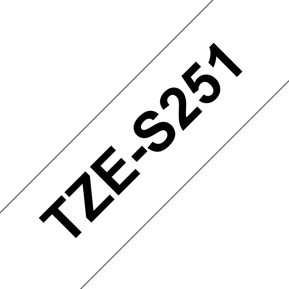 TZeS251_main