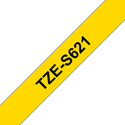 TZeS621_main