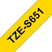 TZeS651_main