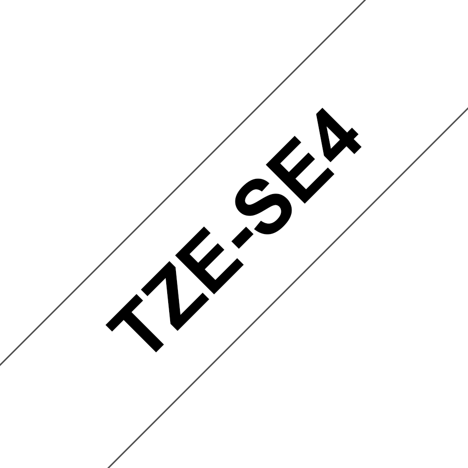 TZeSE4_main