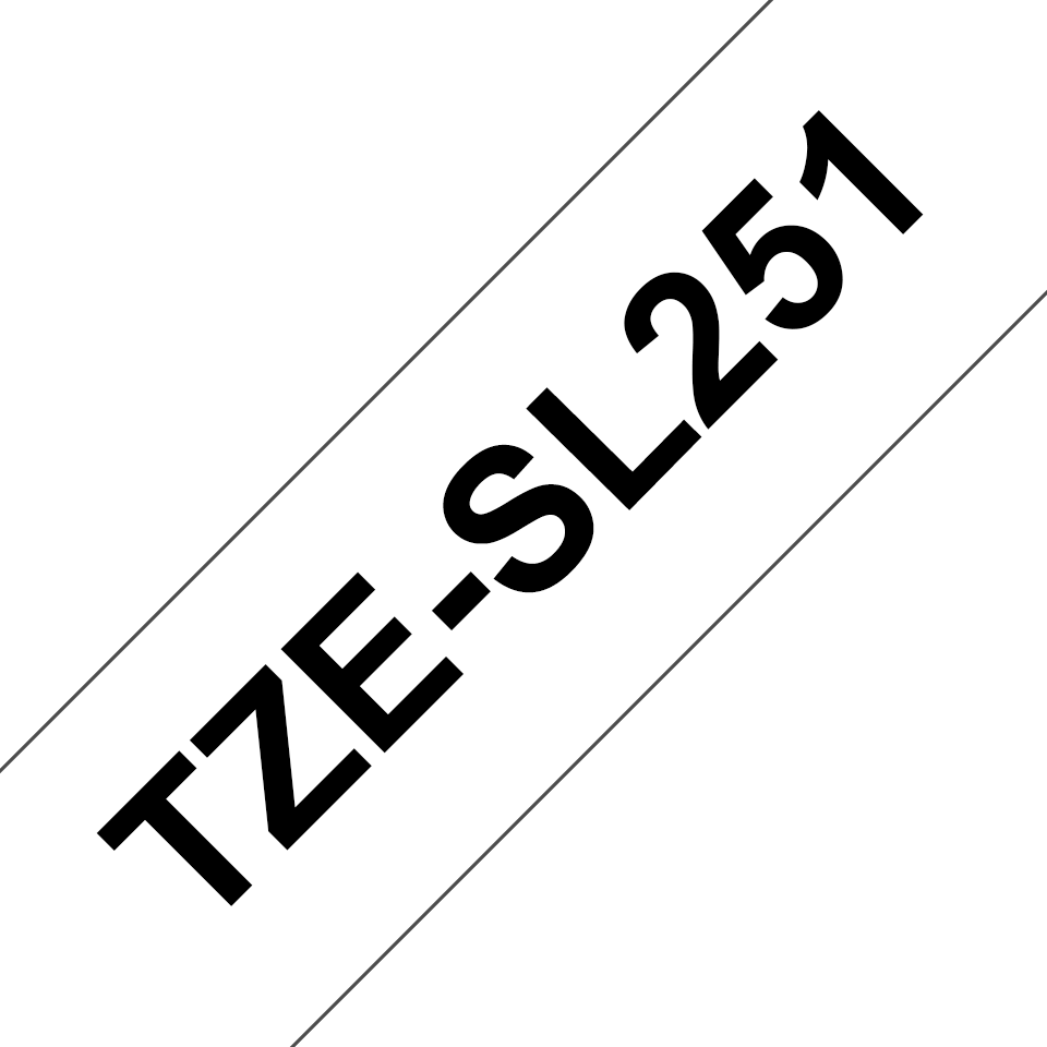 TZeSL251_main