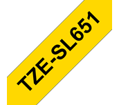 TZeSL651_main