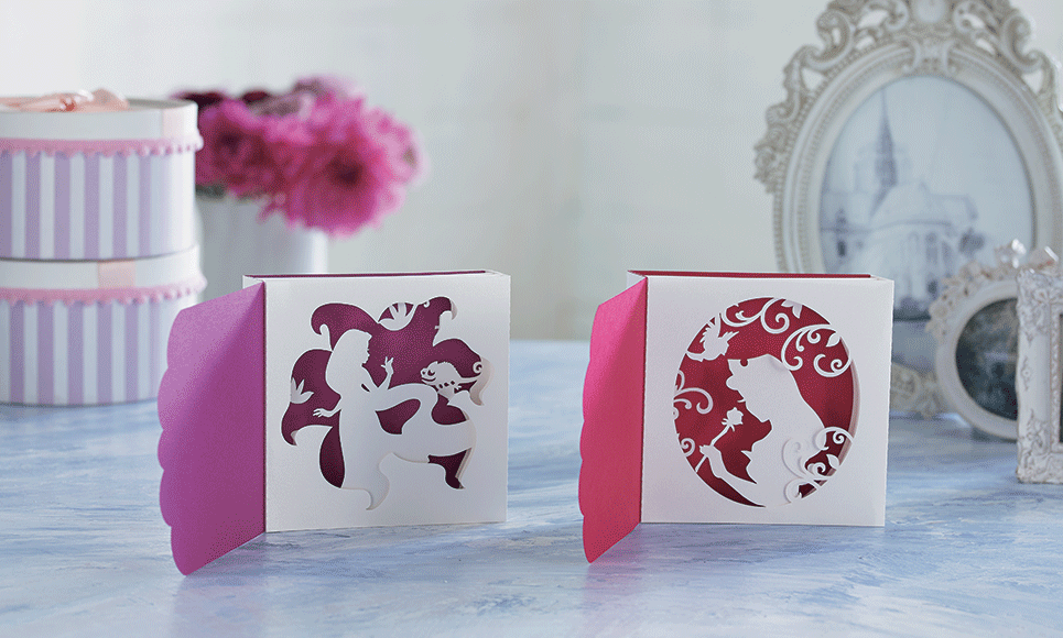 Collection de motifs Raiponce et Aurore de Disney CADSNP08 7