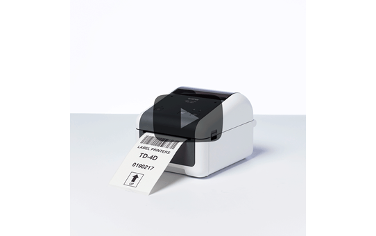 TD-4210D Desktop Label Printer 5